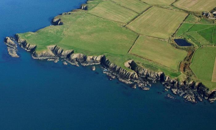 Cardigan Island Coastal Farm Park